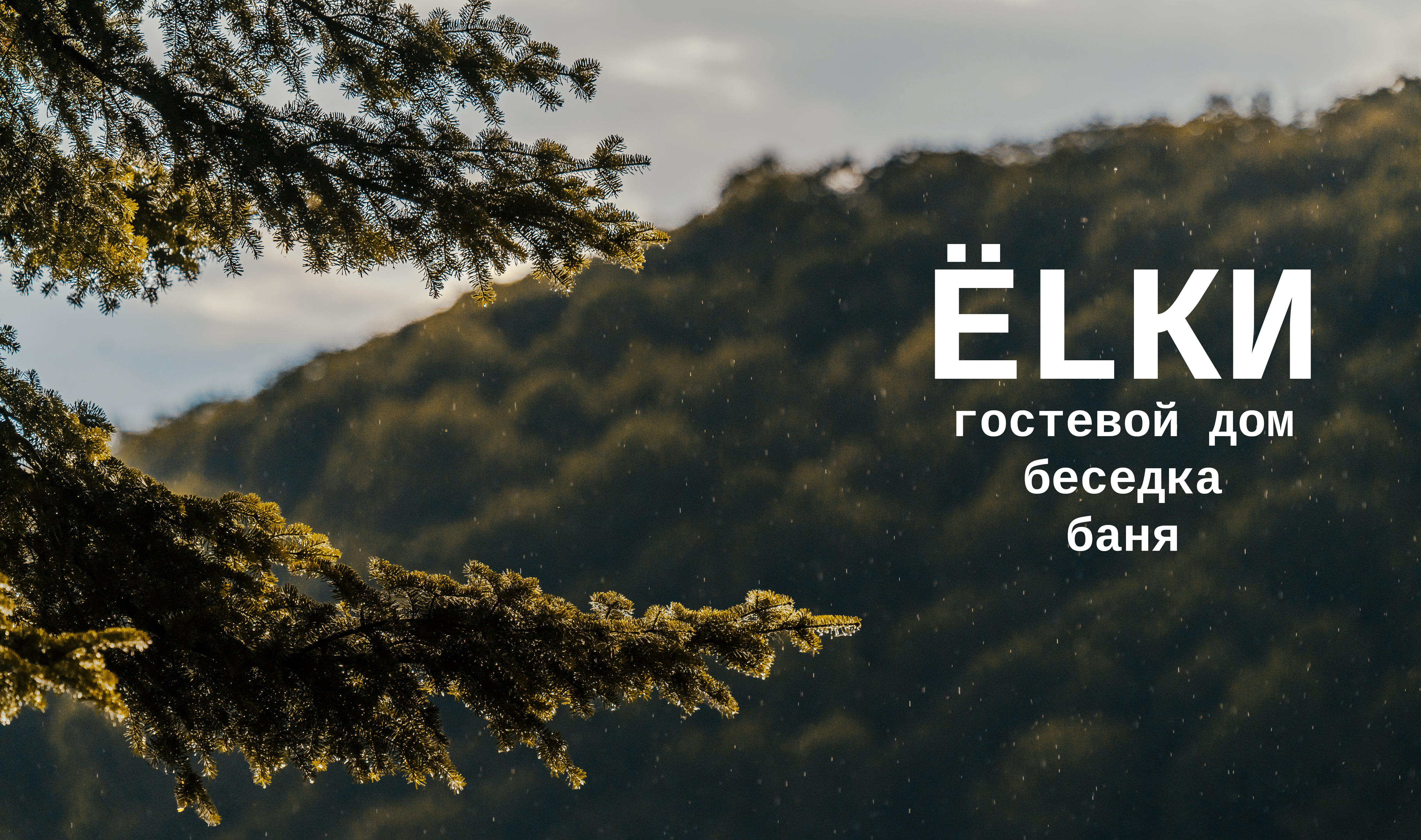Главная